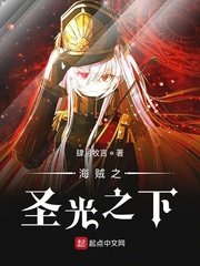 (海贼王同人)海贼之圣光之下